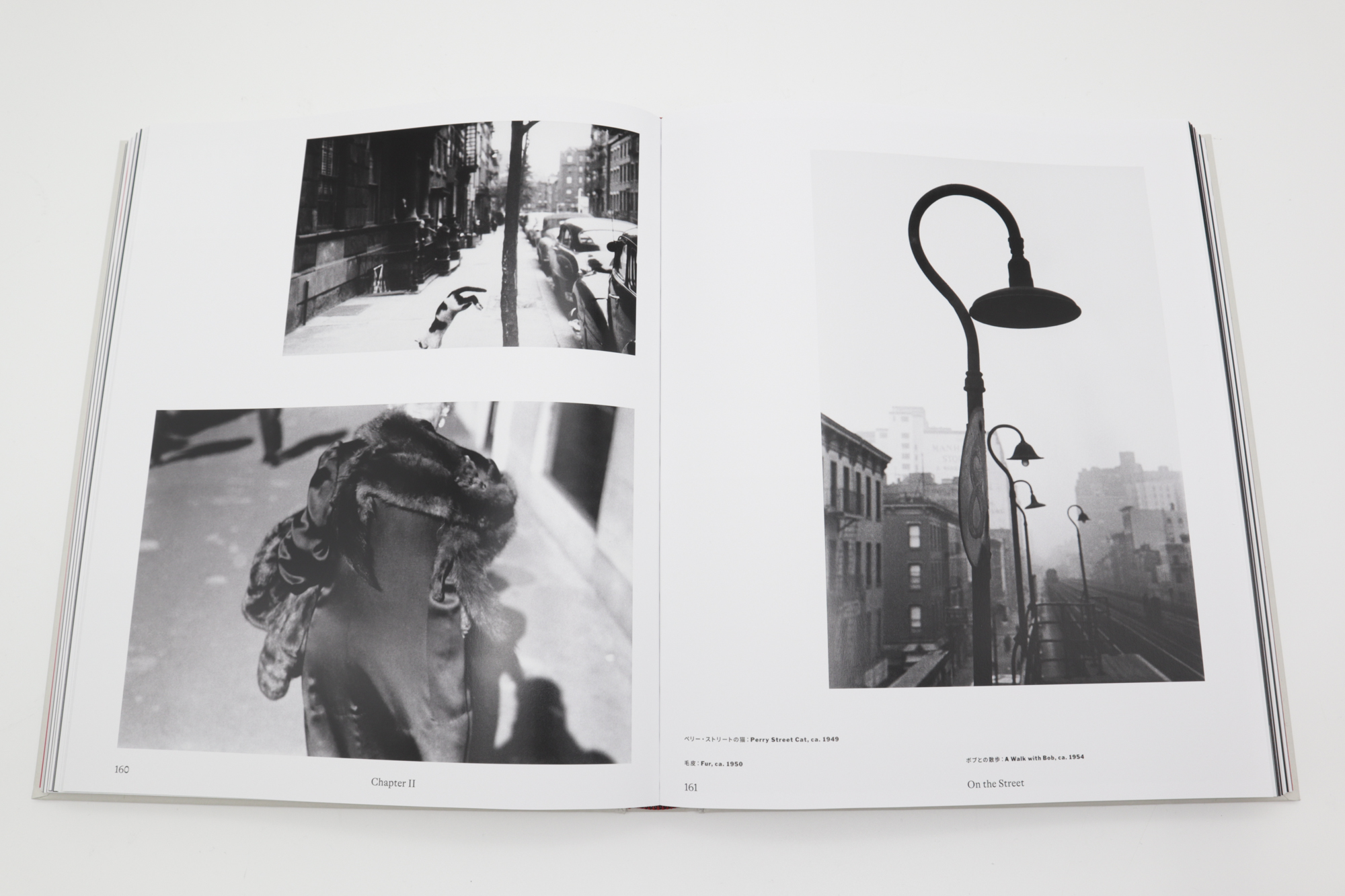 Saul Leiter: The Centennial Retrospective (Japanese edition) | 青