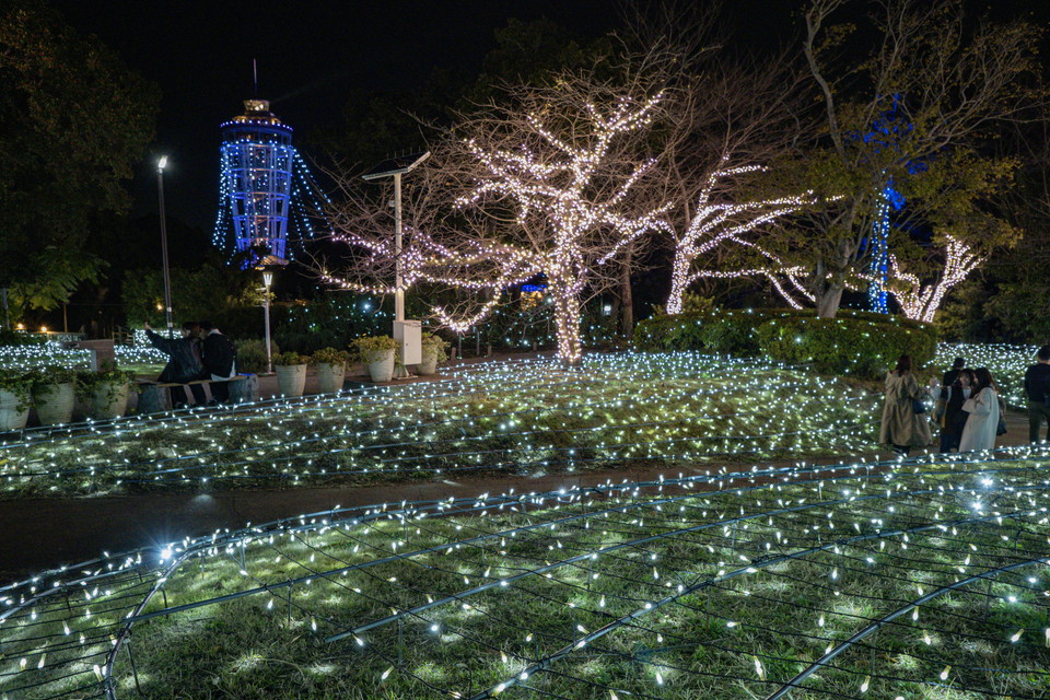 湘南のイルミネーション2023 • えのしま・ふじさわポータルサイト