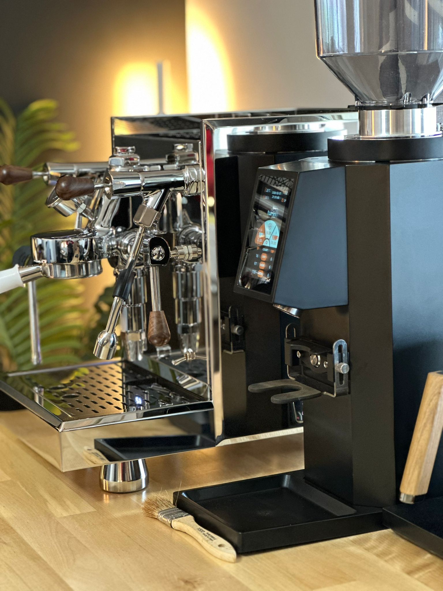 Turin ZF83 Commercial Espresso Grinder – Espresso Outlet LLC
