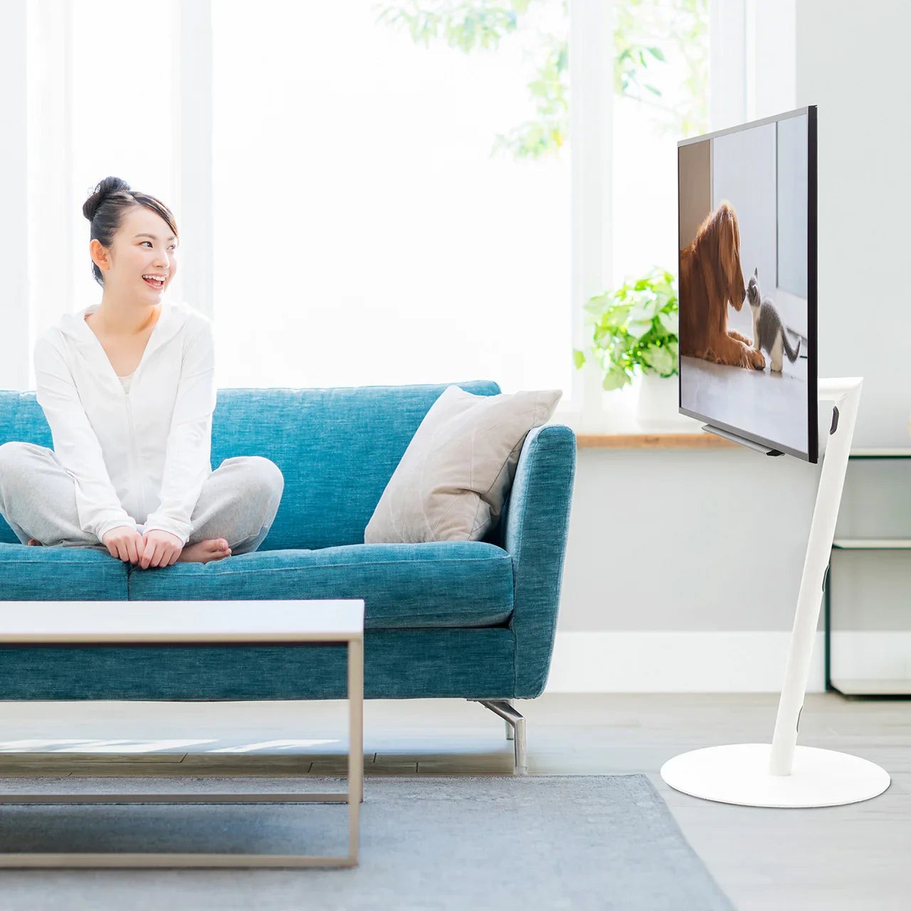 WALL SEVENSTAND A2（LOW/HIGH TYPE）