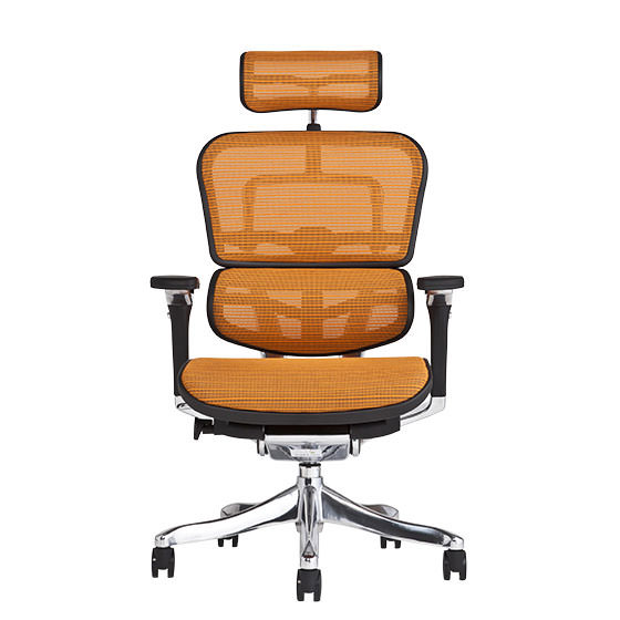 エルゴヒューマン プロ / ヘッドレスト有り【メーカー組み立て完成品