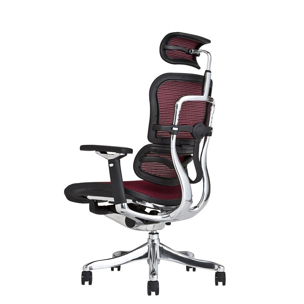 エルゴヒューマン プロ / ヘッドレスト有り【メーカー組み立て完成品