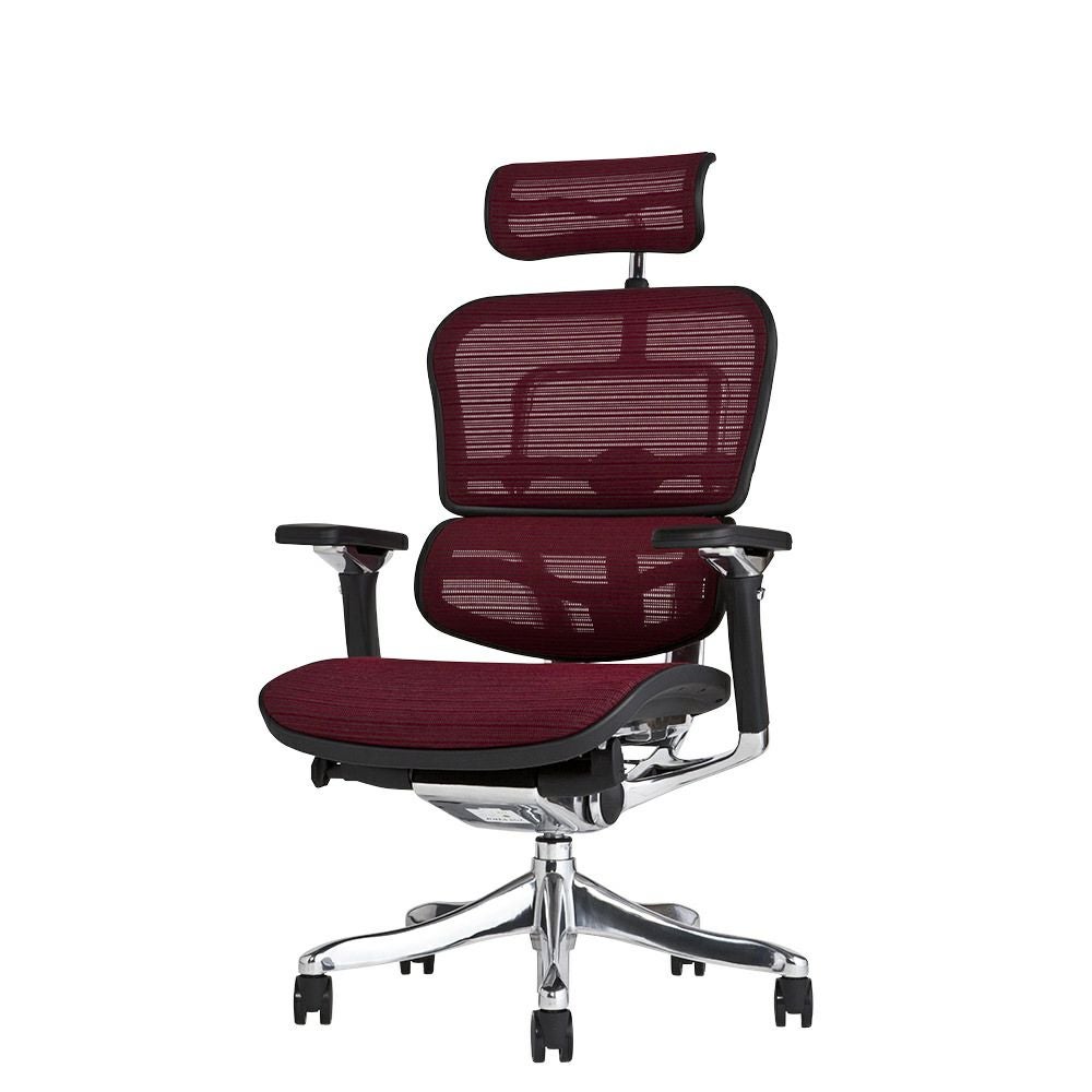 エルゴヒューマン プロ / ヘッドレスト有り【メーカー組み立て完成品