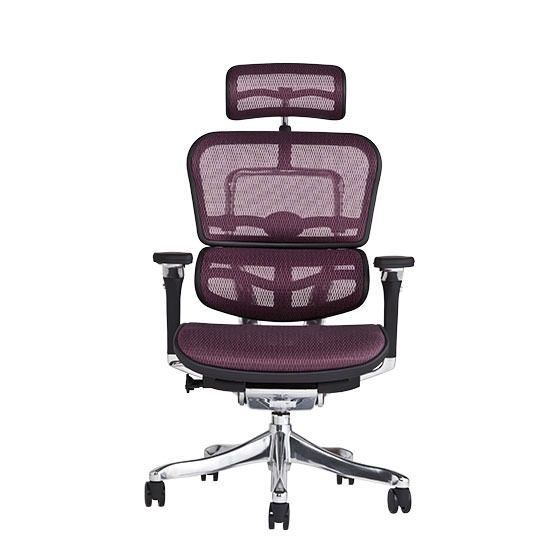 エルゴヒューマン プロ / ヘッドレスト有り【メーカー組み立て完成品