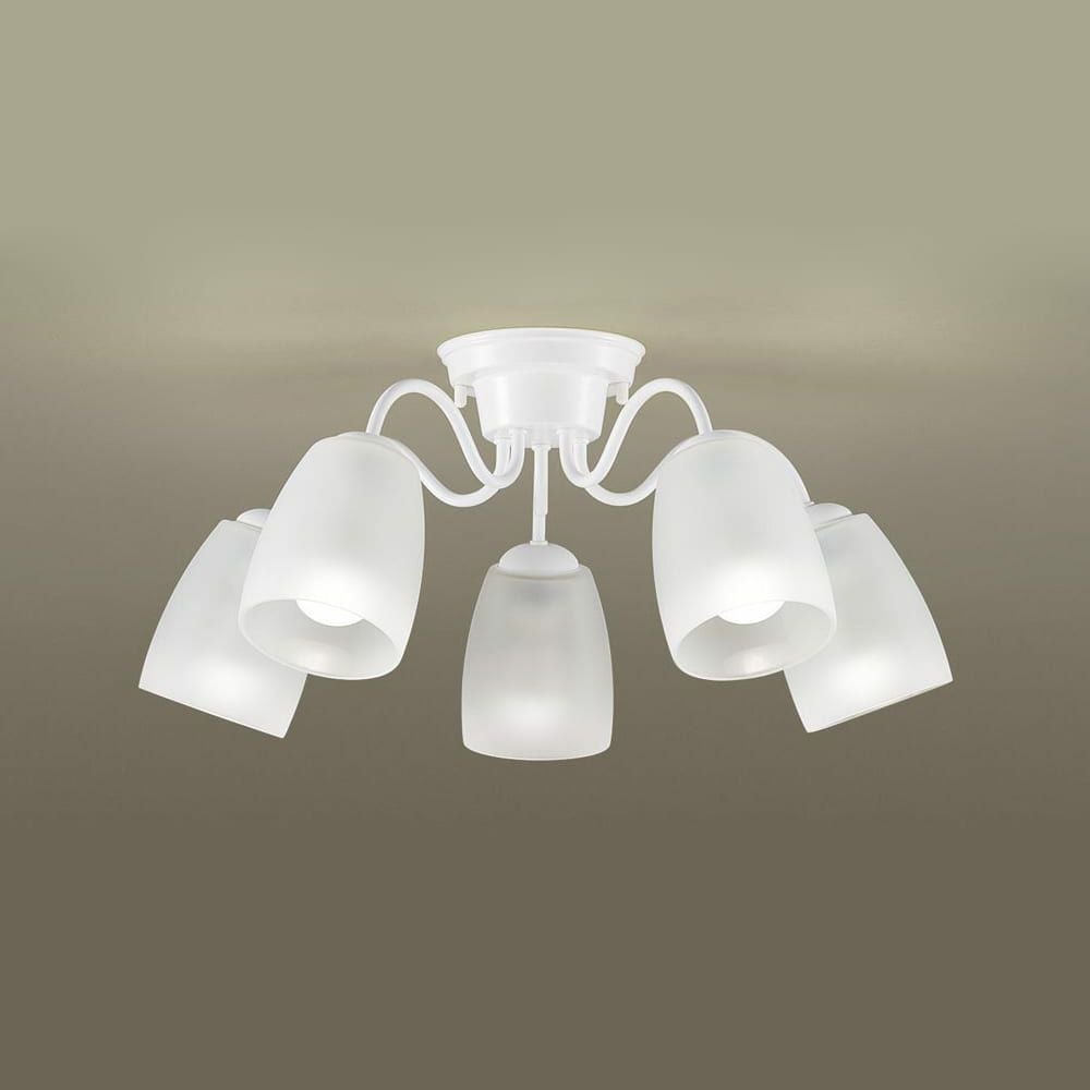 000000002342-01.jpg?size=m&w=