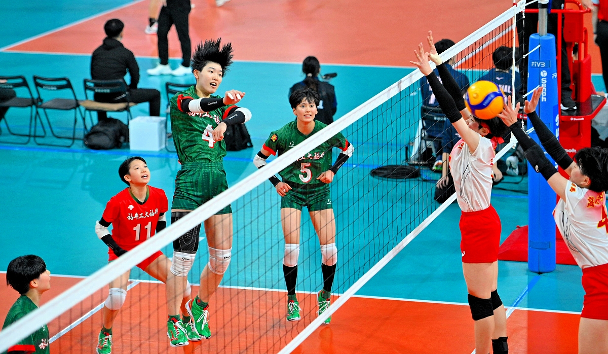 春の高校バレー、福井工大福井女子が1回戦突破 高崎女をストレート