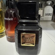 Amber Wood Ajmal 香水- 一款2014年中性香水