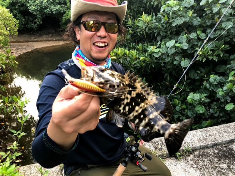 CANARIA C48UL(カナリア48・ベイト) - Fin‐ch