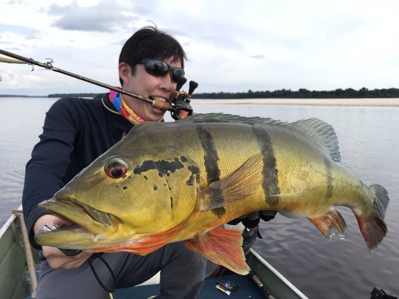 CANARIA610M(カナリア610ミディアム) - Fin‐ch