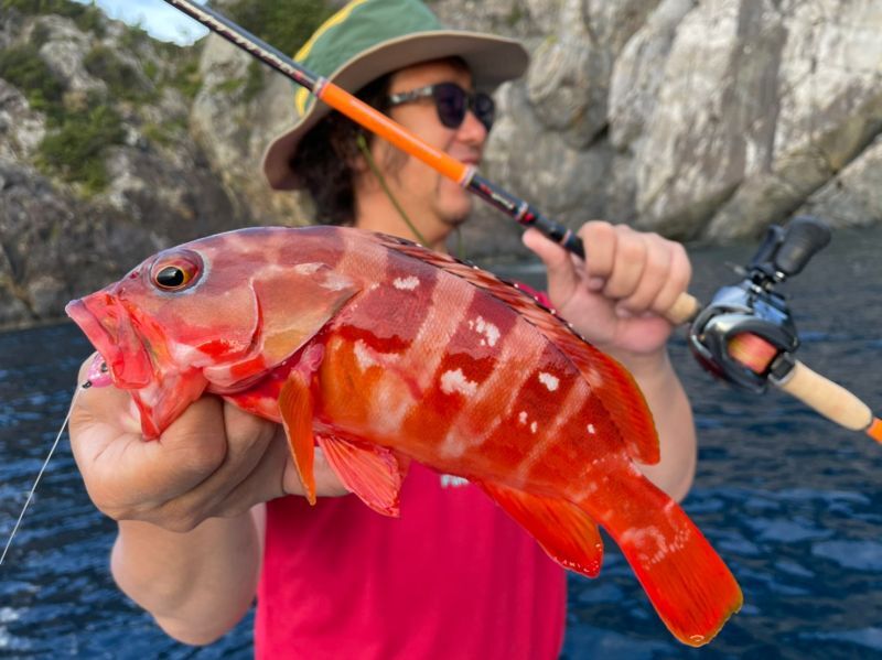 CANARIA COCO77(カナリア ココ77) - Fin‐ch