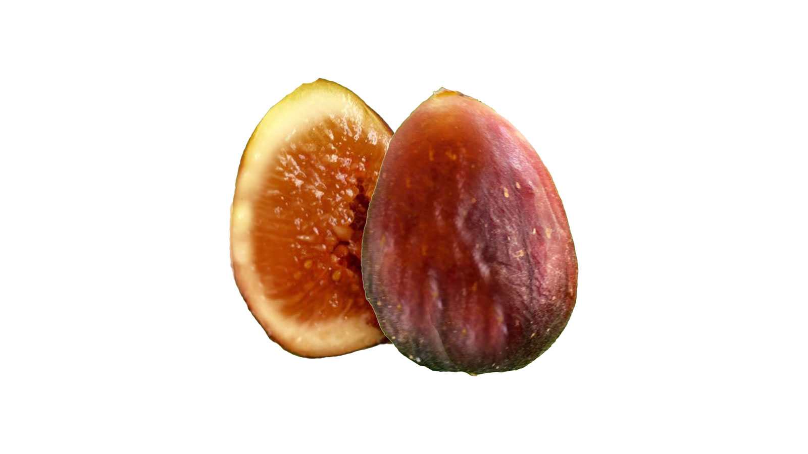 Brazilian Xp(ブラジリアン Xp)の特徴・味・耐寒性・栽培 | 世界のイチジク