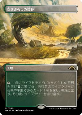 吹きさらしの荒野/Windswept Heath》[KTK] 土地R | 日本最大級 MTG通販