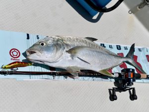 梅雨明け一発目のトロピカルフィッシング - Fishman（フィッシュマン）