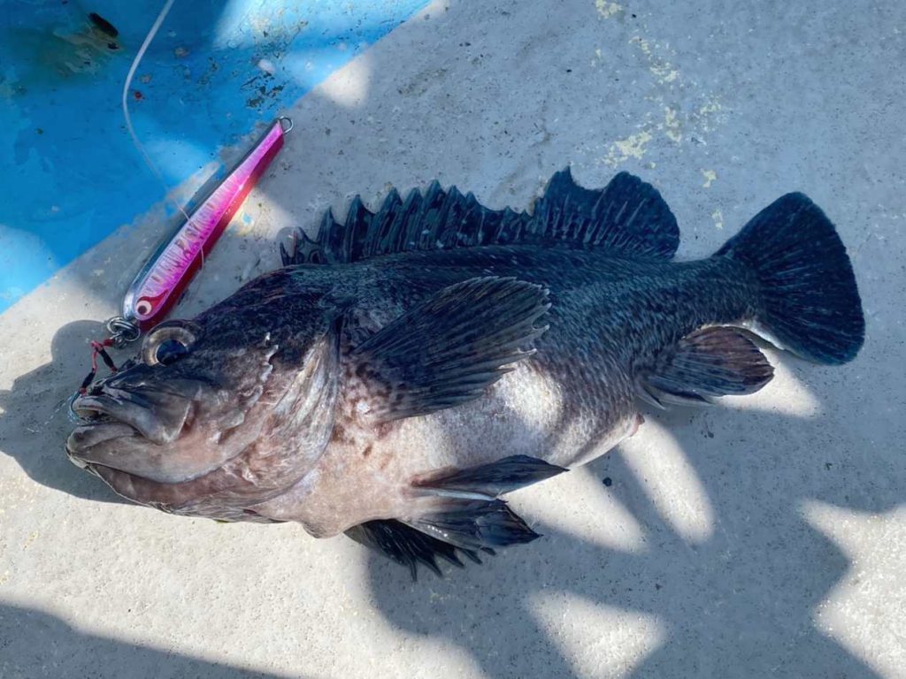 インプレ】タイラバロッド 紅牙X 69MB-S ＆ 69MHB-S ｜初心者おすすめ！