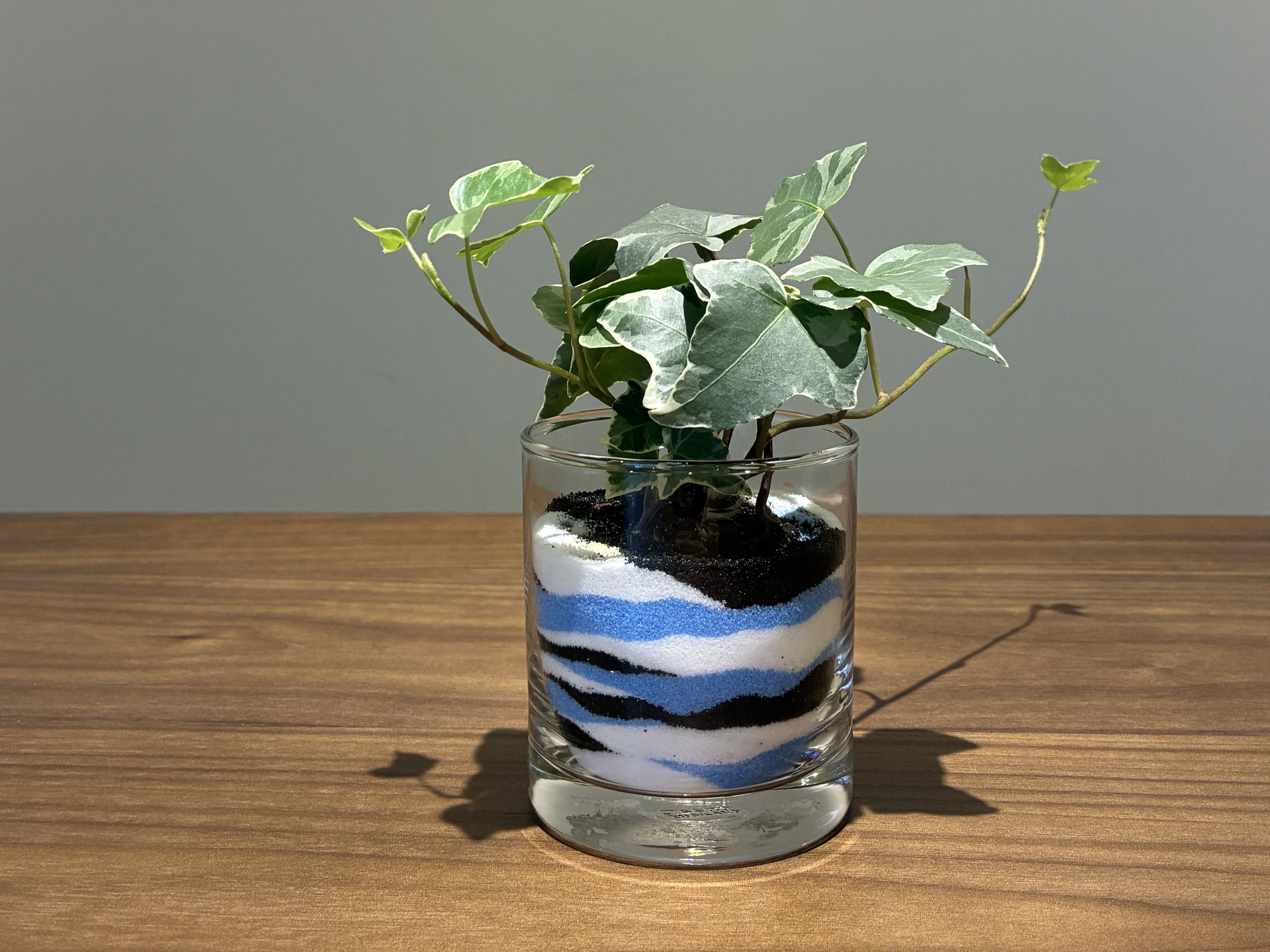 川崎市 富士見公園 FUJI MIX【公式】- 多様な施設で多様な人が交わり