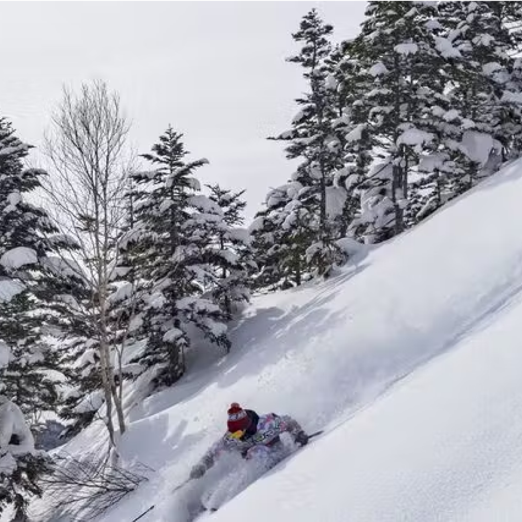 ふるさと納税｜志賀高原マウンテンリゾート 全日利用可 リフト2日券