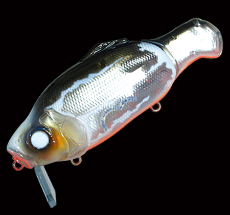 OSA 115