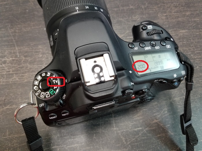 一眼レフで超素早い被写体を撮るときにオススメの設定【Canon EOS 80D