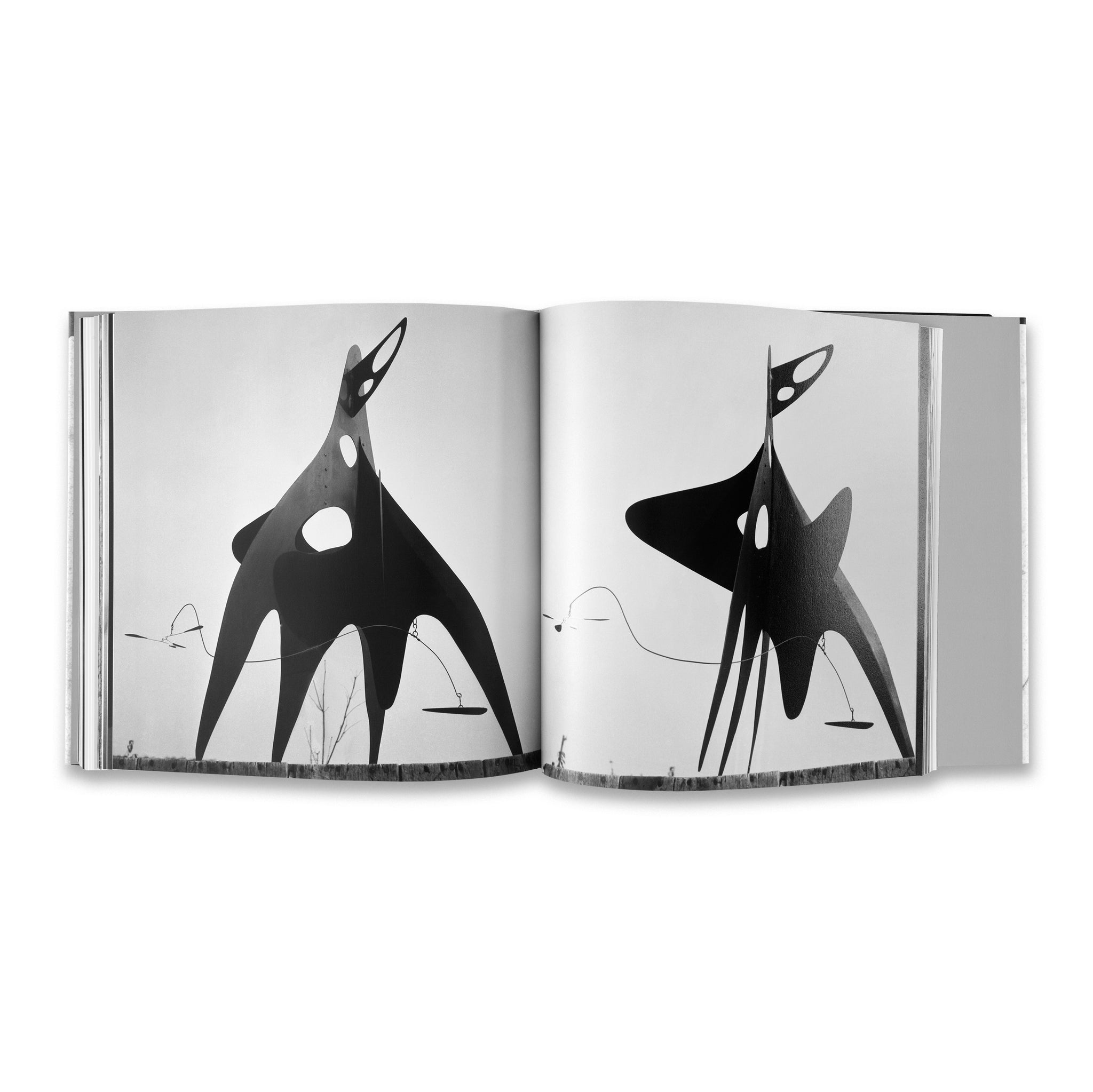 Calder by Matter Rare Book | Gagosian Shop