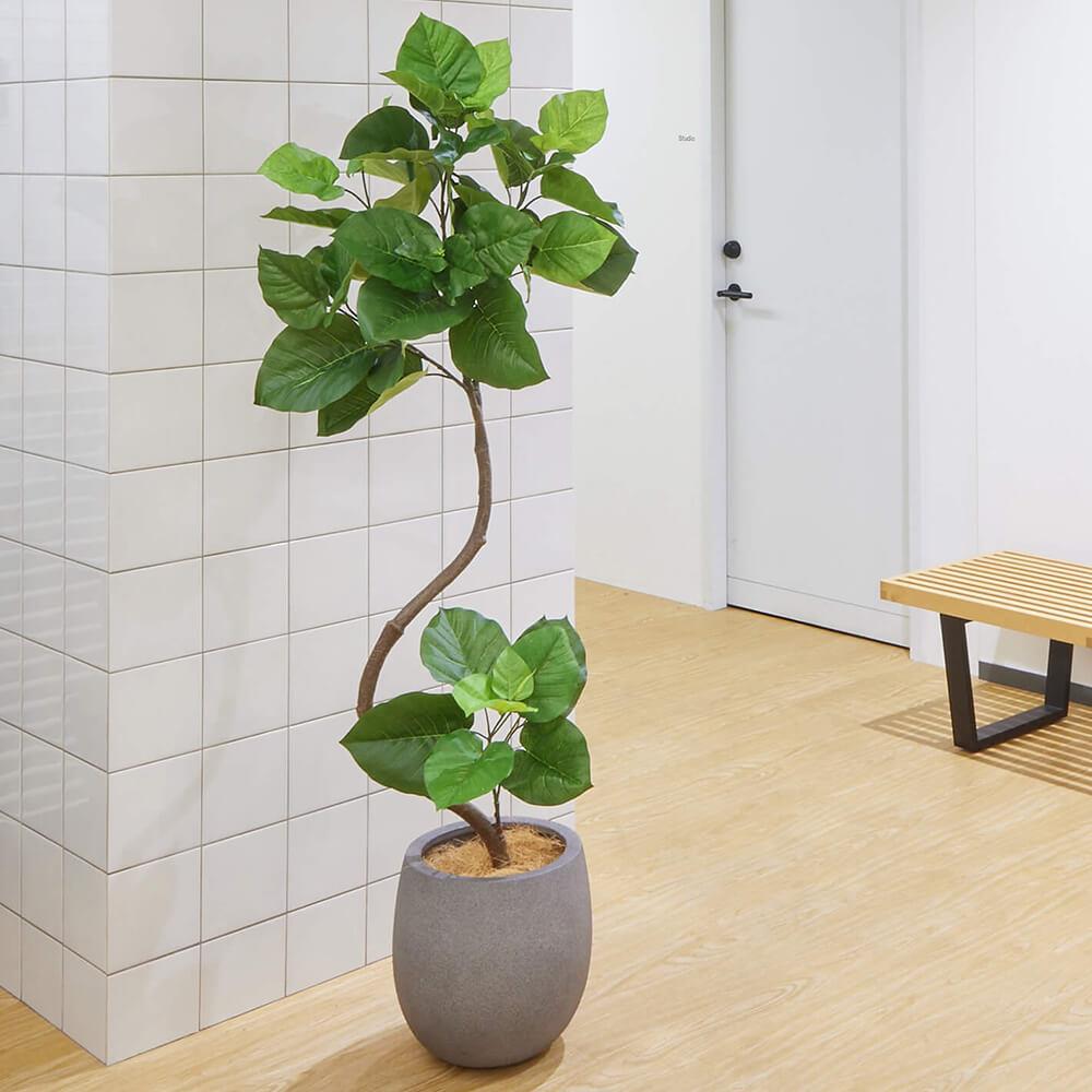 ウンベラータ 高さ154cm (フェイクグリーン フロアグリーン 観葉植物