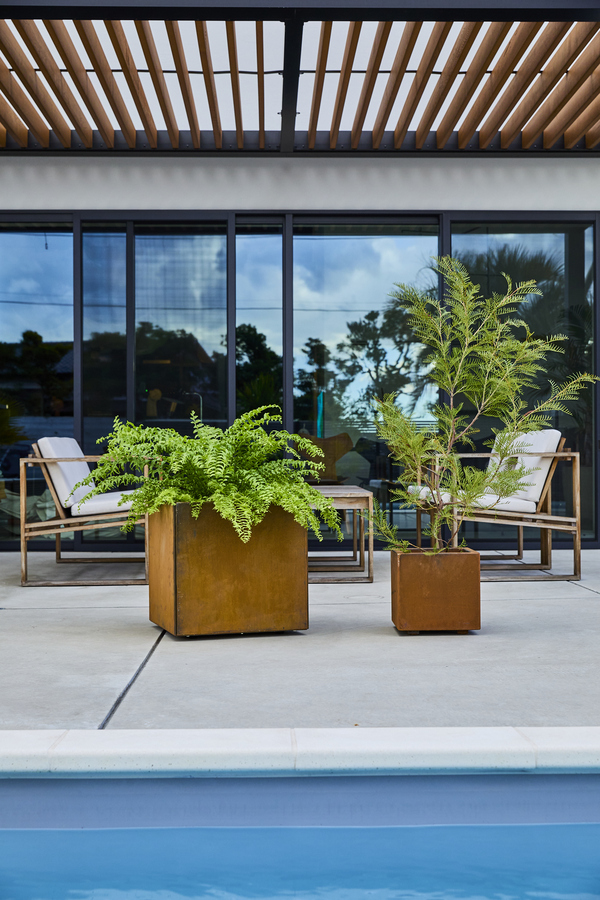 BUSH DE BRUNT Golden arm タン BRUNTハス golden armタンカラーbush