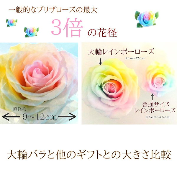 Qoo10] 高級プリザーブドフラワー高級ケース入り大