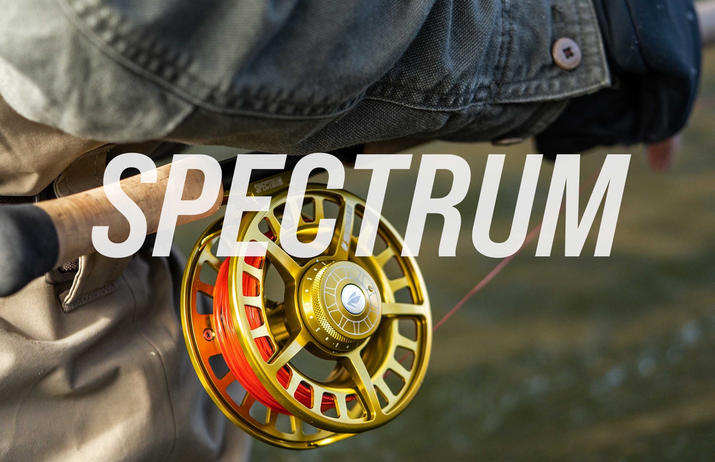 SPECTRUM | ブランドから探す,SAGE,リール,コア | WALTON'S INC