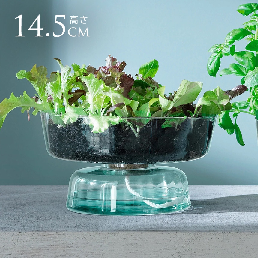LSA International フラワーベース CANOPY SELF WATERING PLANT