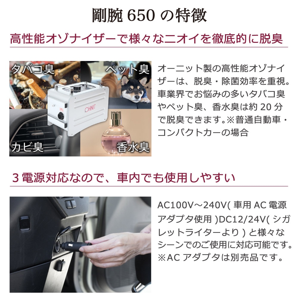 剛腕650F2 業務用オゾン発生器 GWN-650F2 gwn-650f2 自動車向けオゾン