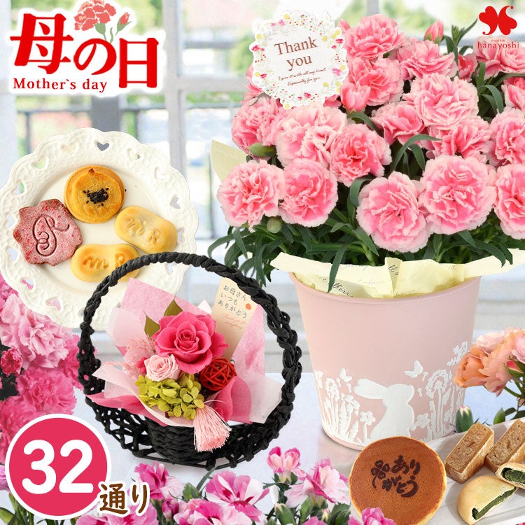 母の日2026 花鉢・寄せ植え | フラワーマーケット花由公式サイト