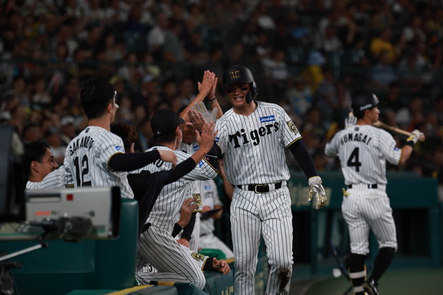 先乗り情報局｜試合情報｜阪神タイガース公式サイト