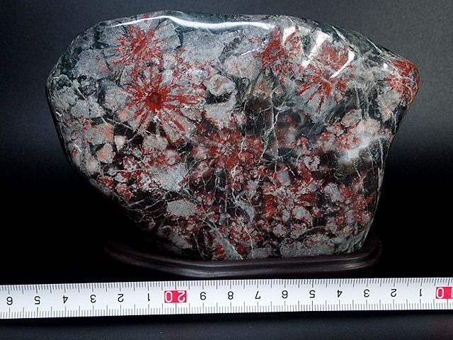 ◇天然石！岐阜県産／貴重！瑪瑙質菊花石－台座付きNo,75◇ - 鑑賞石の