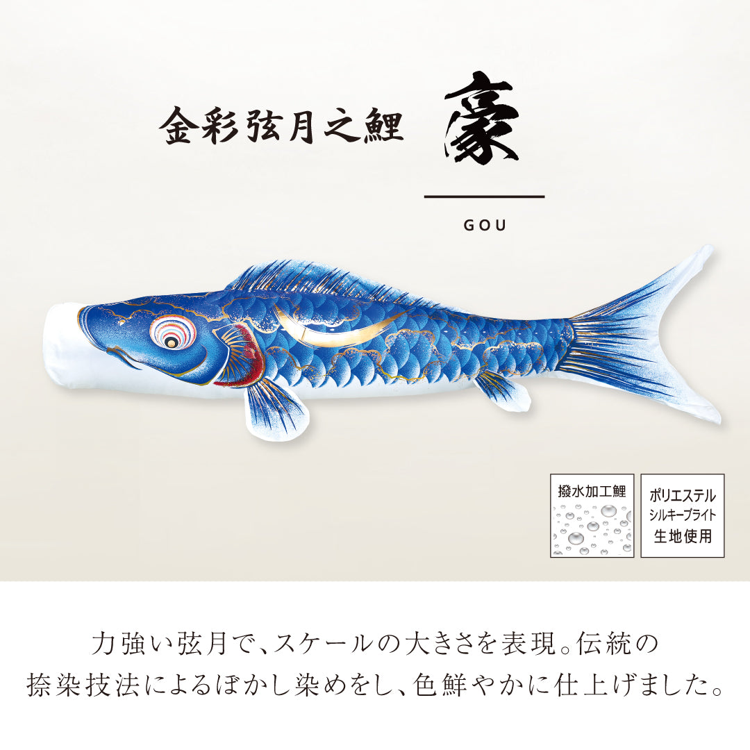 匠プラン 】金彩弦月之鯉 豪《大型こいのぼりレンタル》｜ 徳永
