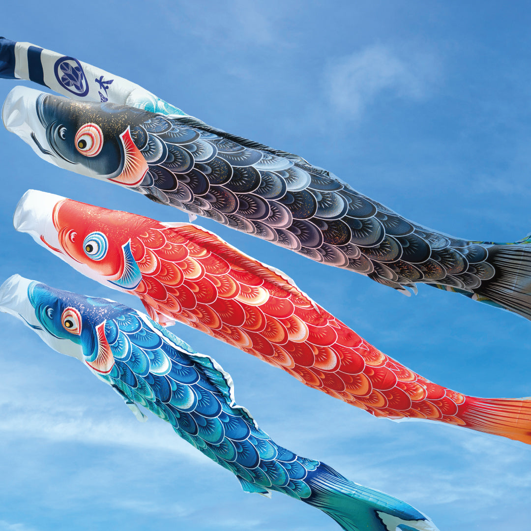 薫風の舞い【風舞い】6点大型セット｜徳永こいのぼり公式 – 晴れと暮らす