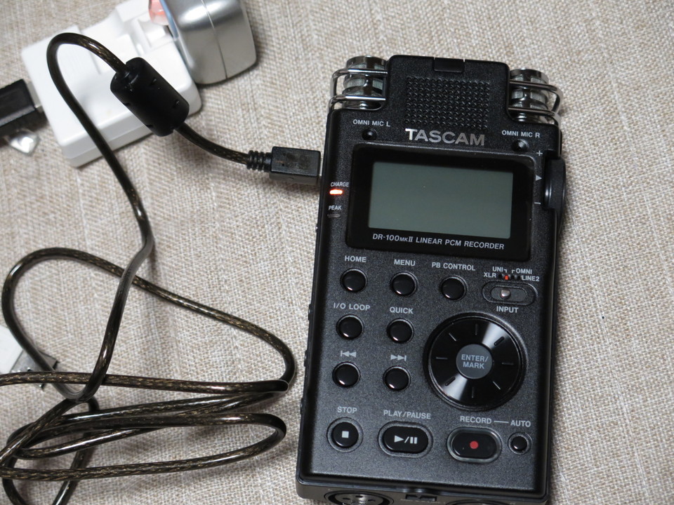 TASCAM DR-100MKII買った！なので開封の儀をせねば！ | HERMITCRAB