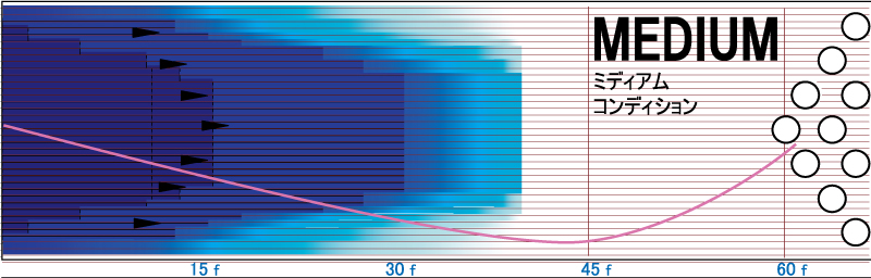 PURE PHYSIX - ハイスポーツ社 ：信頼のボウリング用品販売