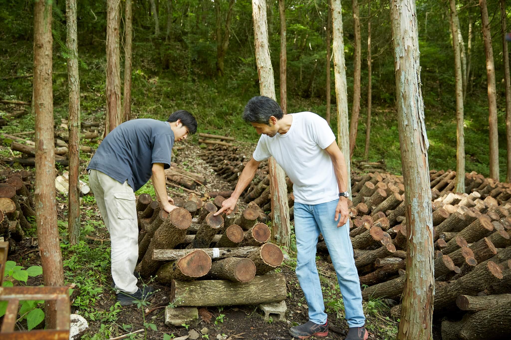 響 hibi-ki | しいたけ農家が森をつくったら？【後編】