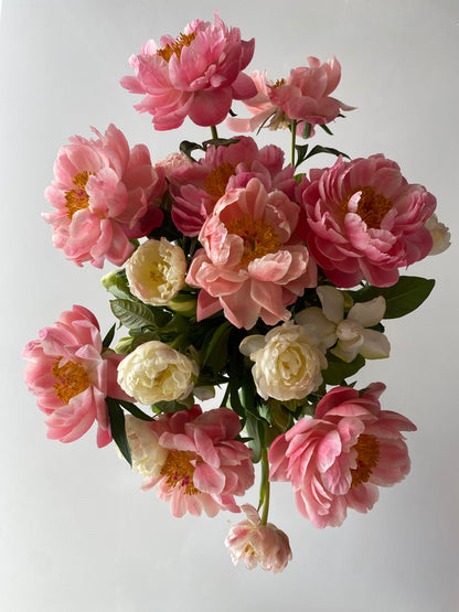 Always Vine & Bloom Box | Fresh Gardenias & Blooms by High Camp Supply