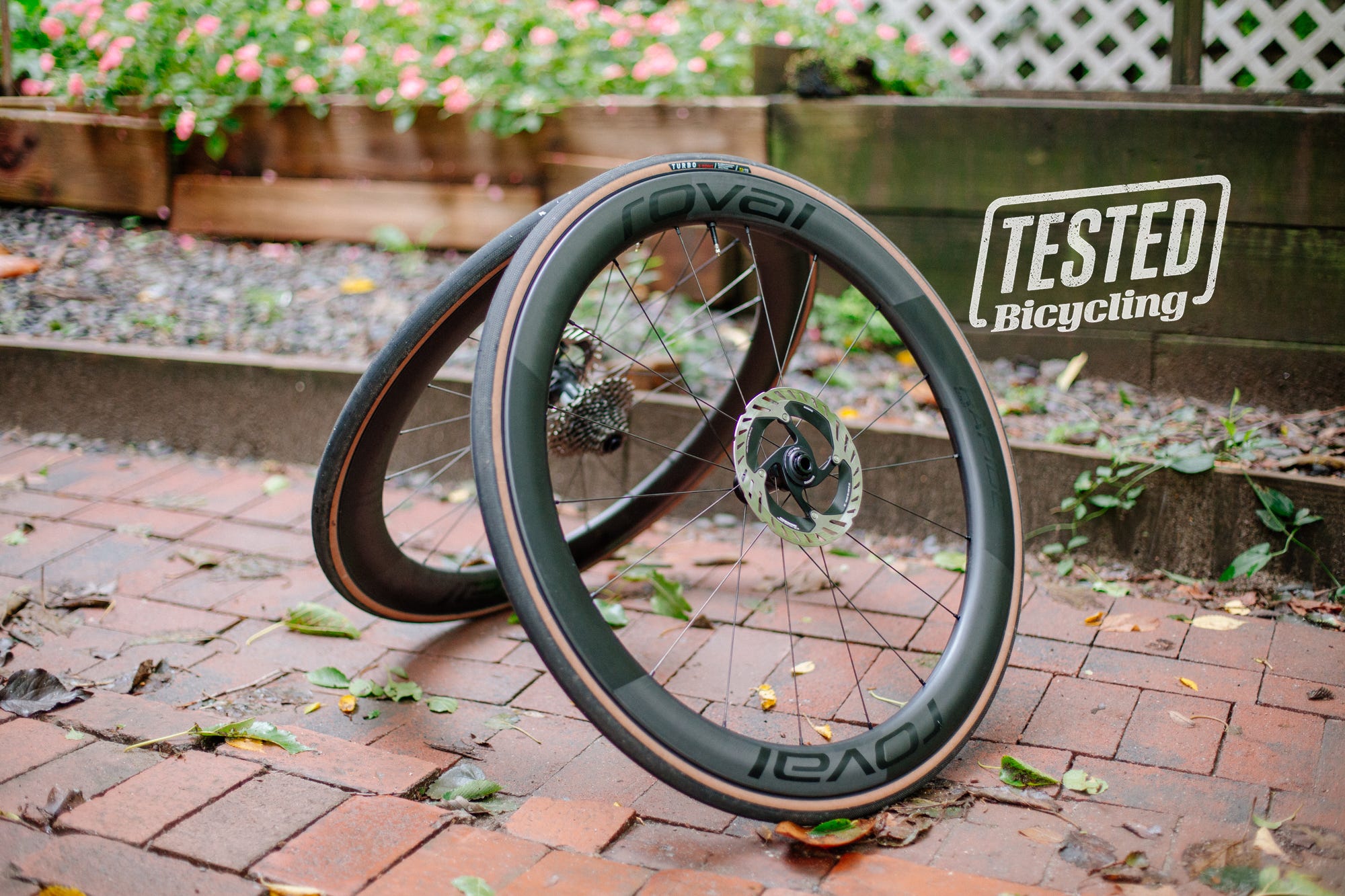 mg-2747-1665153535.jpg?crop=