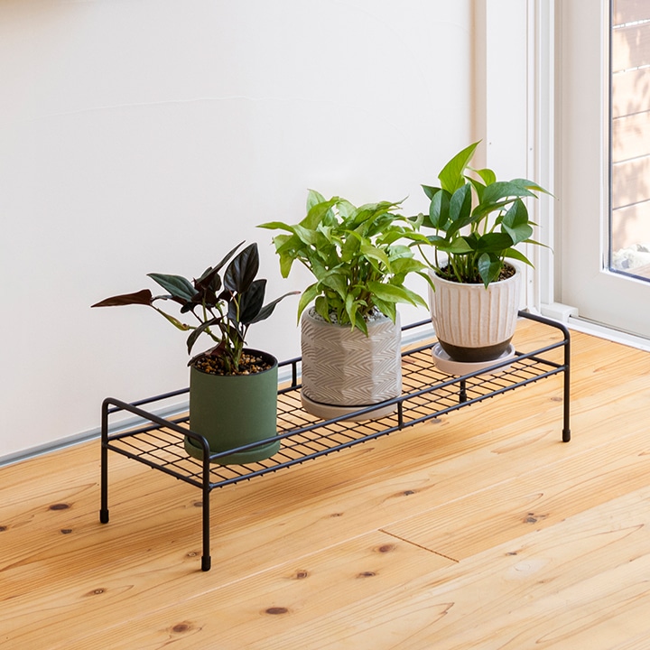 シンプルプラントスタンド スクエア S /A: プランター・シェルフ