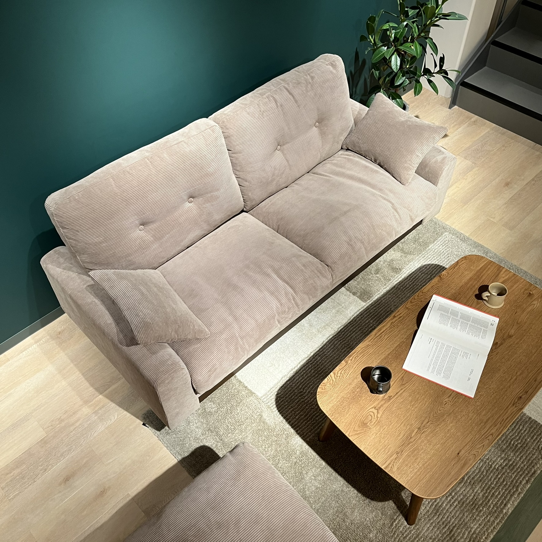 hoom / TORINO2 トリノ 2