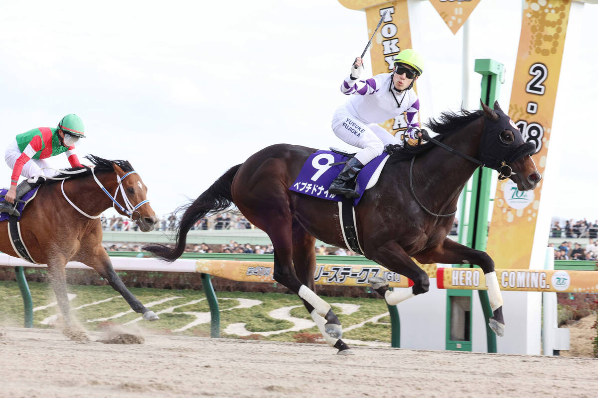 ペプチドナイルがアロースタッドで種牡馬入り フェブラリーS制覇時の