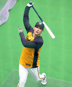 井坪陽生(阪神タイガース) - チーム - プロ野球ファーム（2軍