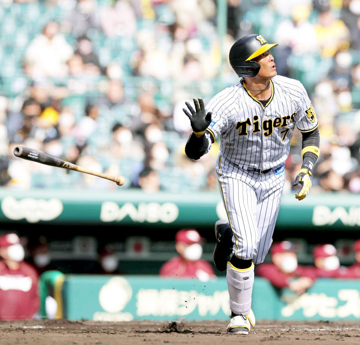 掛布雅之氏 阪神の40歳・糸井嘉男の開幕スタメンに期待 - スポーツ報知