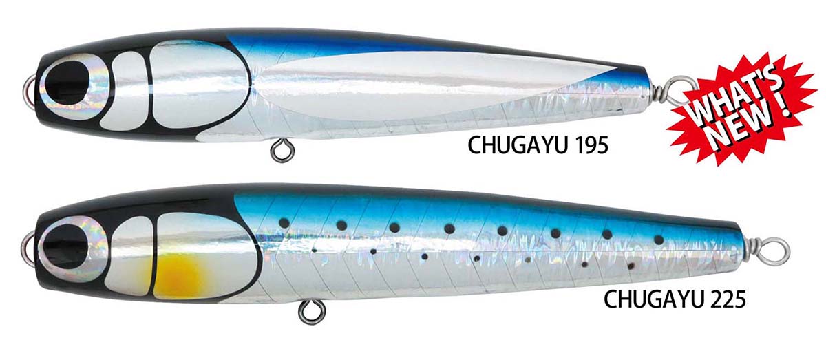 from HOTS｜ケイコオーシャン“チャガユ”に195mmが新登場！｜HOT'S