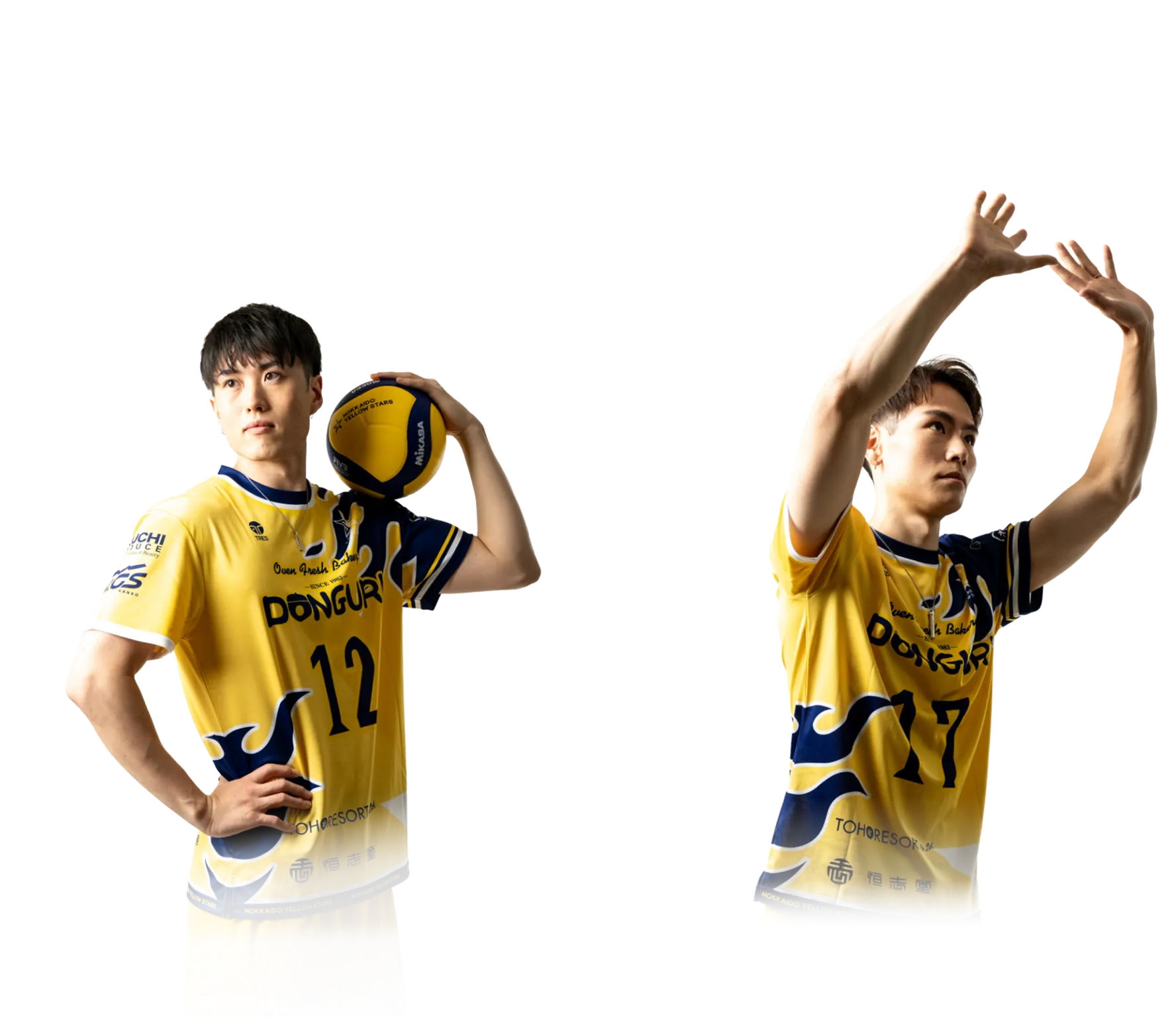 北海道イエロースターズ