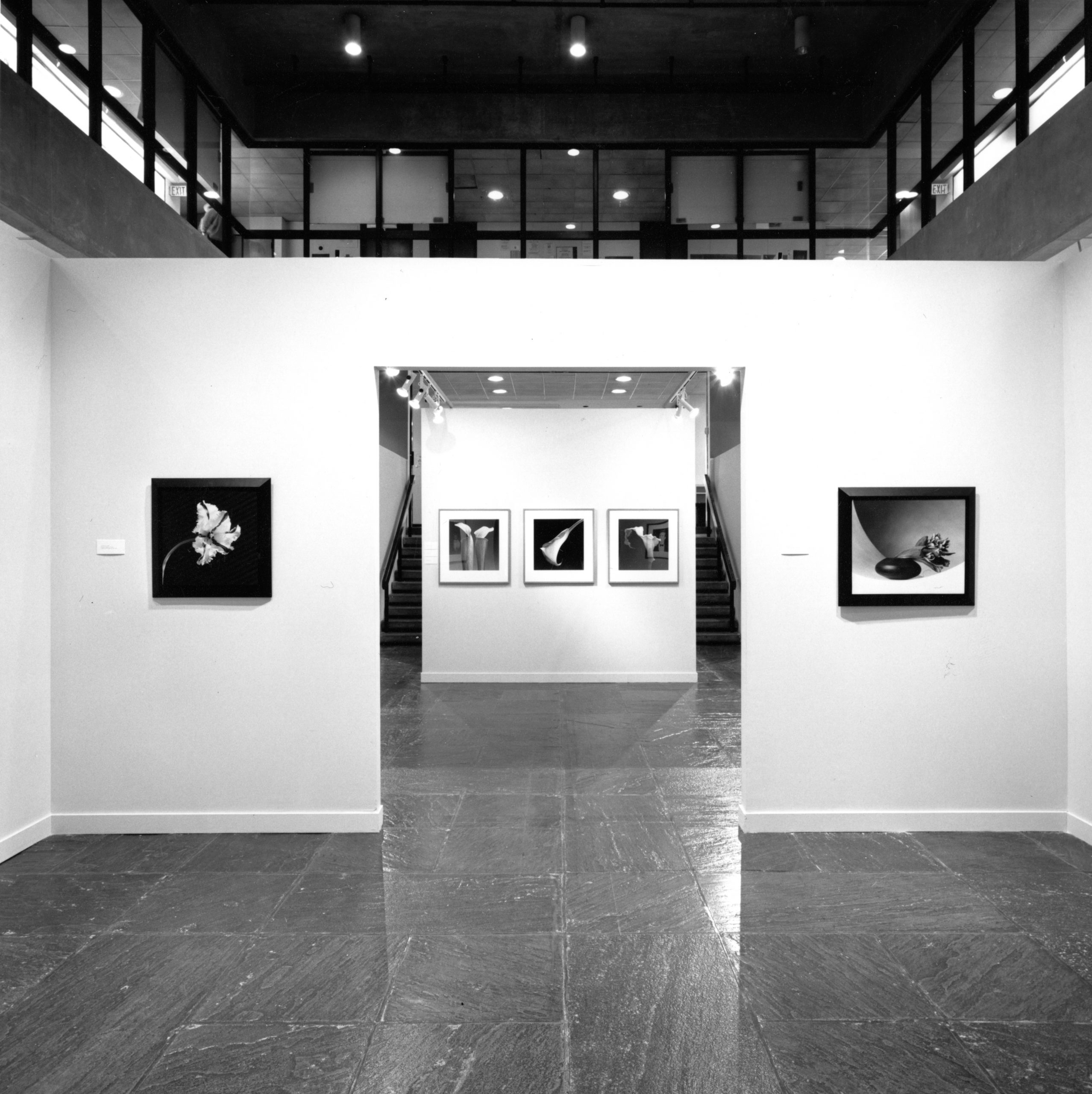 Robert Mapplethorpe: The Perfect Moment - ICA Philadelphia