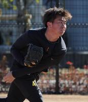 阪神・桐敷拓馬“うま年”誓い「巻き返せるように走り抜けたい」馬の