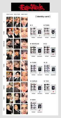 &TEAM Japan 3rd SINGLE 月狼 Go in Blind JAPAN BABY WOLF Ver Solo