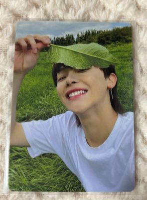 &TEAM NICHOLAS Photocard &Audition The Howling Weverse PC Kpop